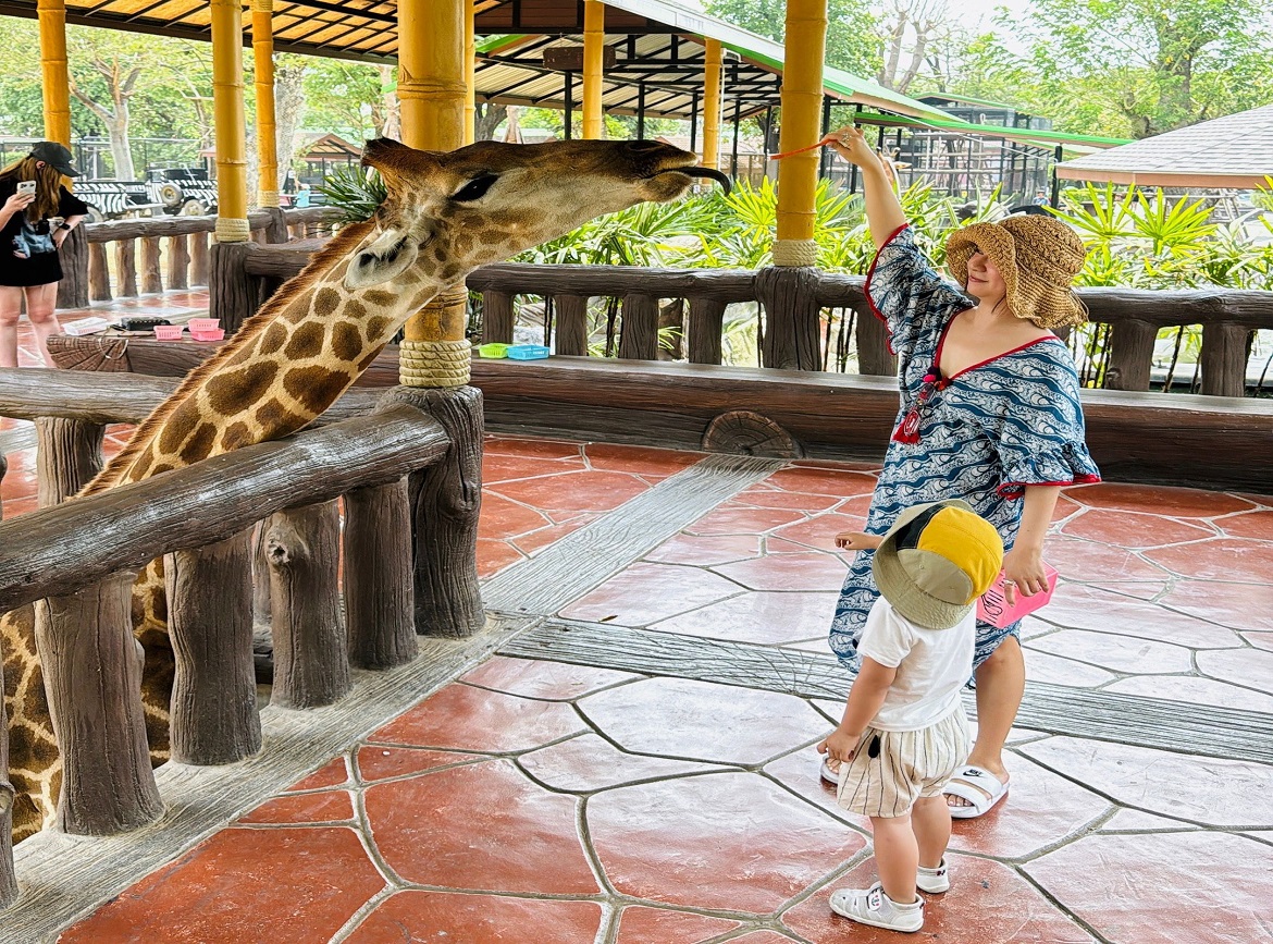萬馬奔騰.盈達報喜【享玩暹羅親子版-長頸鹿有約】芭達雅海上方舟.獅子王動物園+侏儸紀沉浸式樂園4日(無購物)(含稅險) | 盈達 旅遊COMEBESTTOUR