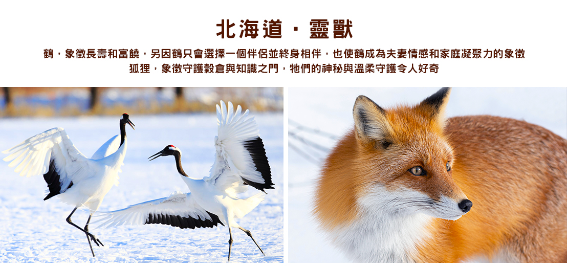 行程特色圖片