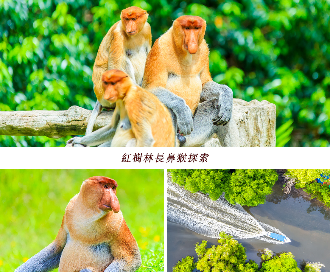 行程特色圖片